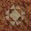 C8 Hani's Crown